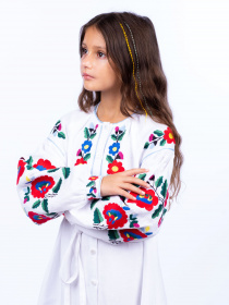 Вышитое платье Едельвіка модель 179-23-00 Фото