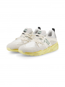 Кроссовки для тренировок PUMA Blaze Of Glory The Neverworn модель 385629 Фото