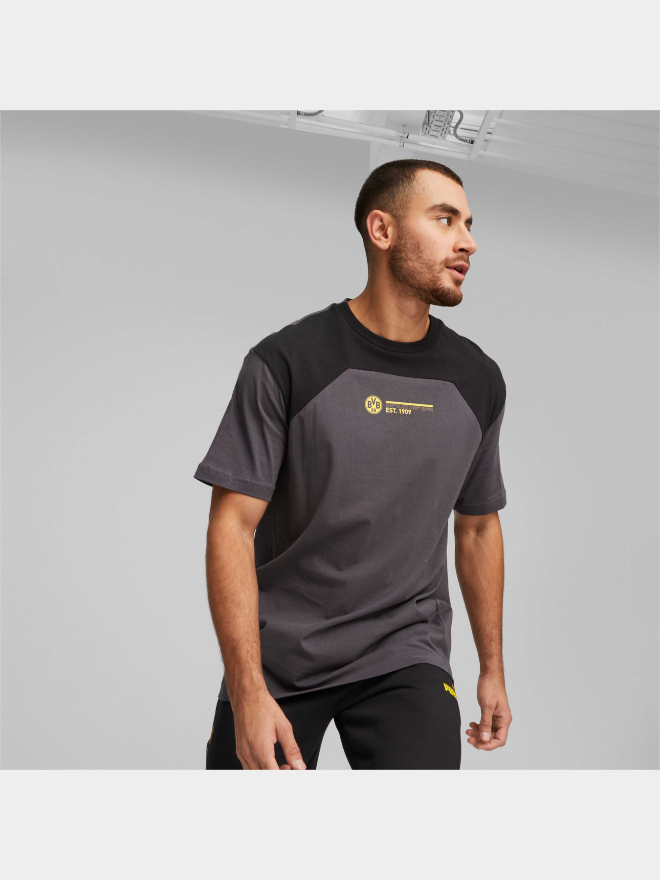 Спортивная футболка PUMA Bvb Ftblculture Tee модель 771868 Спортивная футболка PUMA Bvb Ftblculture Tee модель 771868 Фото