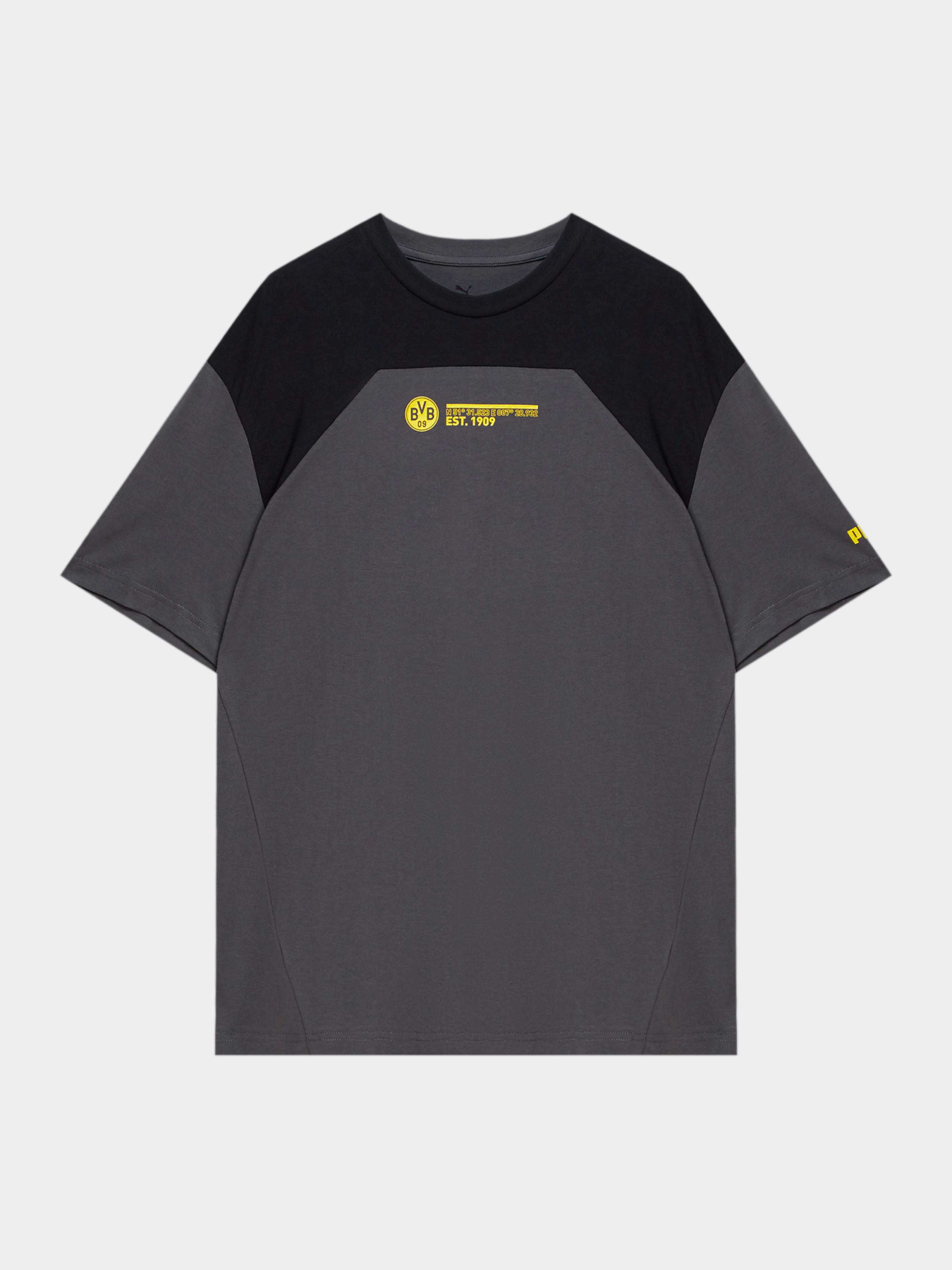 Спортивная футболка PUMA Bvb Ftblculture Tee модель 771868 Спортивная футболка PUMA Bvb Ftblculture Tee модель 771868 Фото