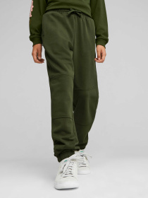 Спортивні штани PUMA Downtown Sweatpants модель 621597 Фото