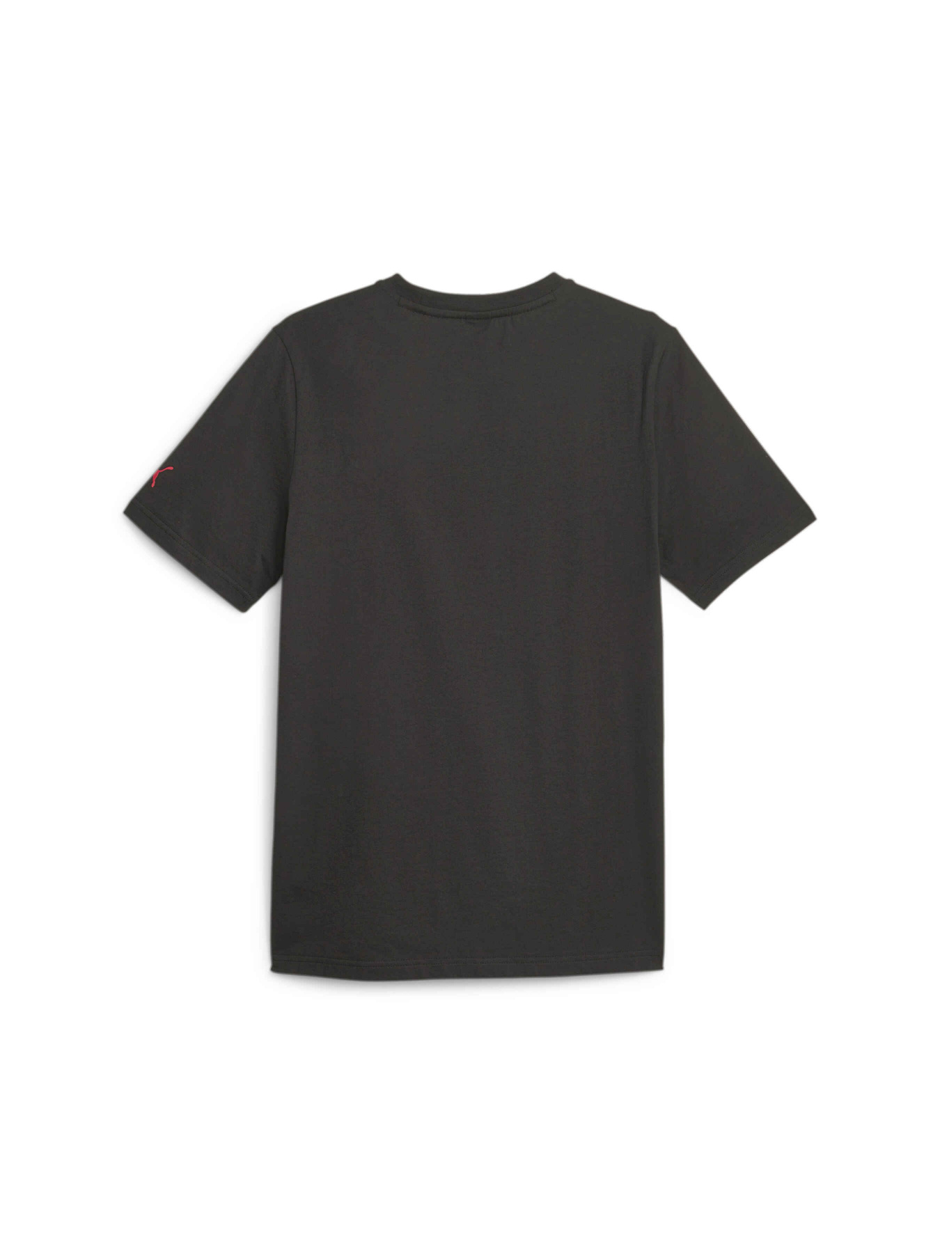 Спортивная футболка PUMA Ferrari Race Tnl Bg Shld Tee модель 620951 Спортивная футболка PUMA Ferrari Race Tnl Bg Shld Tee модель 620951 Фото