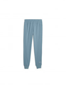 Брюки PUMA Pl Ess Pants модель 621030 Фото