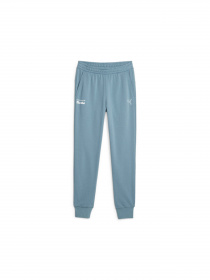 Спортивні штани PUMA Pl Ess Pants модель 621030 Фото