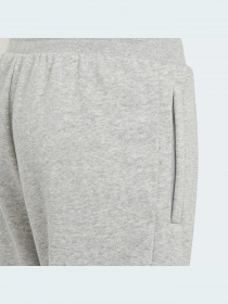 Штаны спортивные Adidas модель H32407 Фото