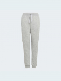 Штаны спортивные Adidas модель H32407 Фото