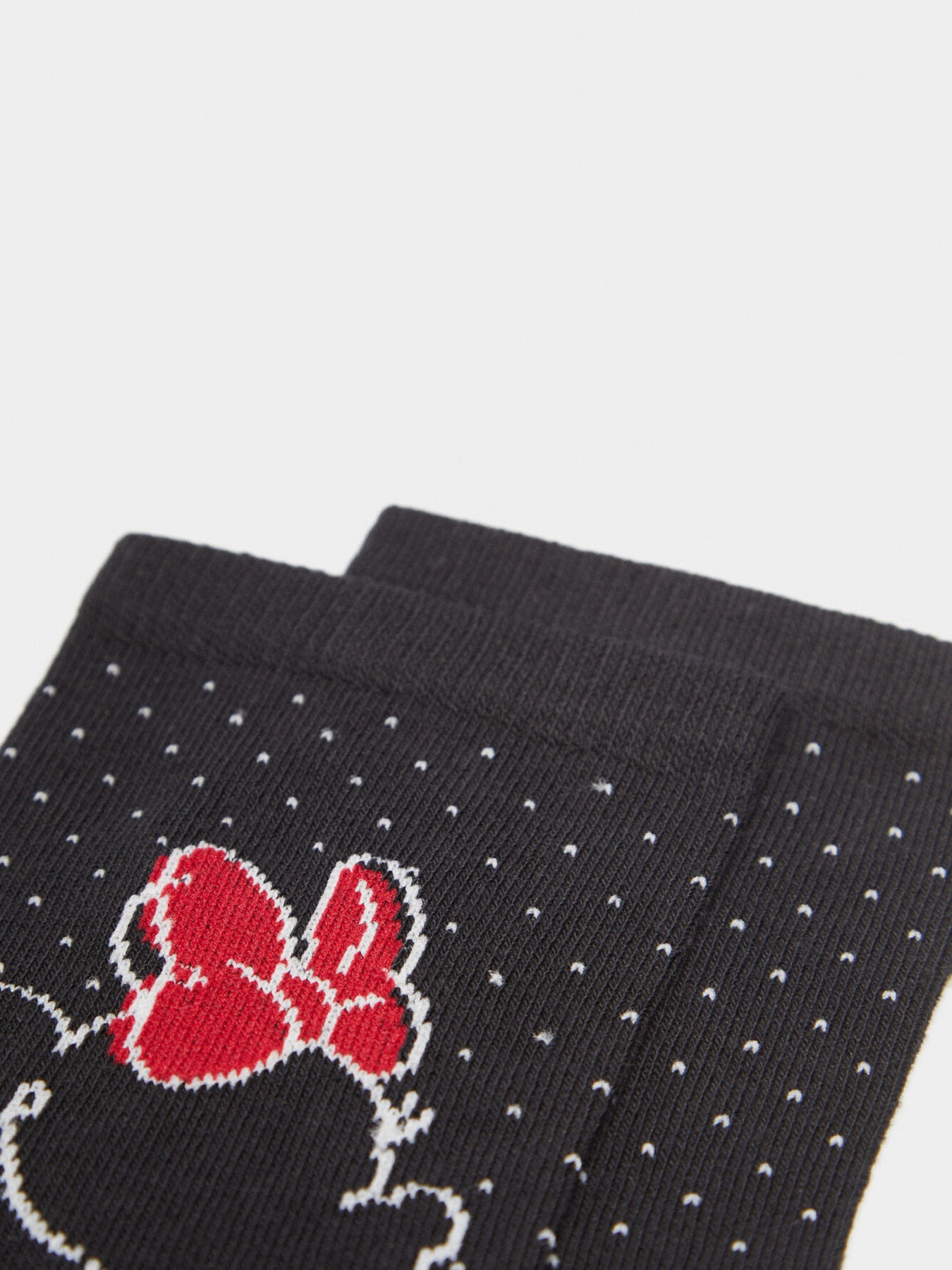 Шкарпетки SPRINGFIELD модель 8544523-01 Фото