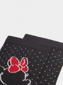 Шкарпетки SPRINGFIELD модель 8544523-01 Фото