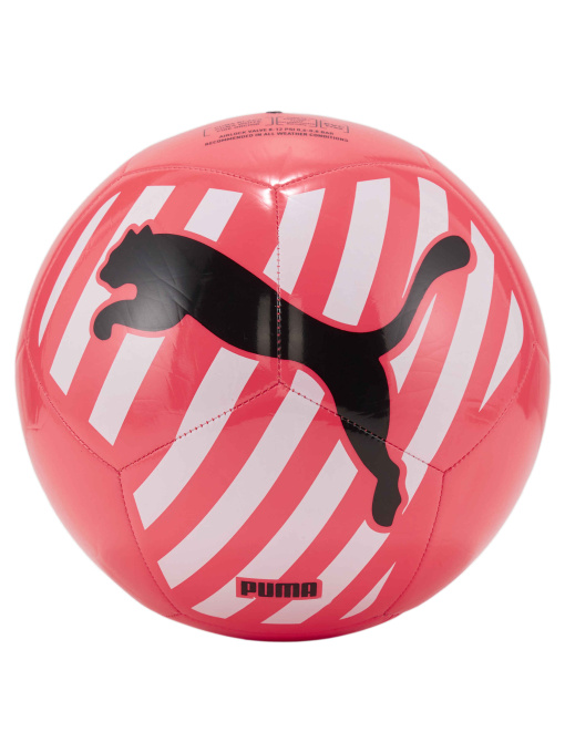 Мячи PUMA Big Cat Ball модель 083994 Фото