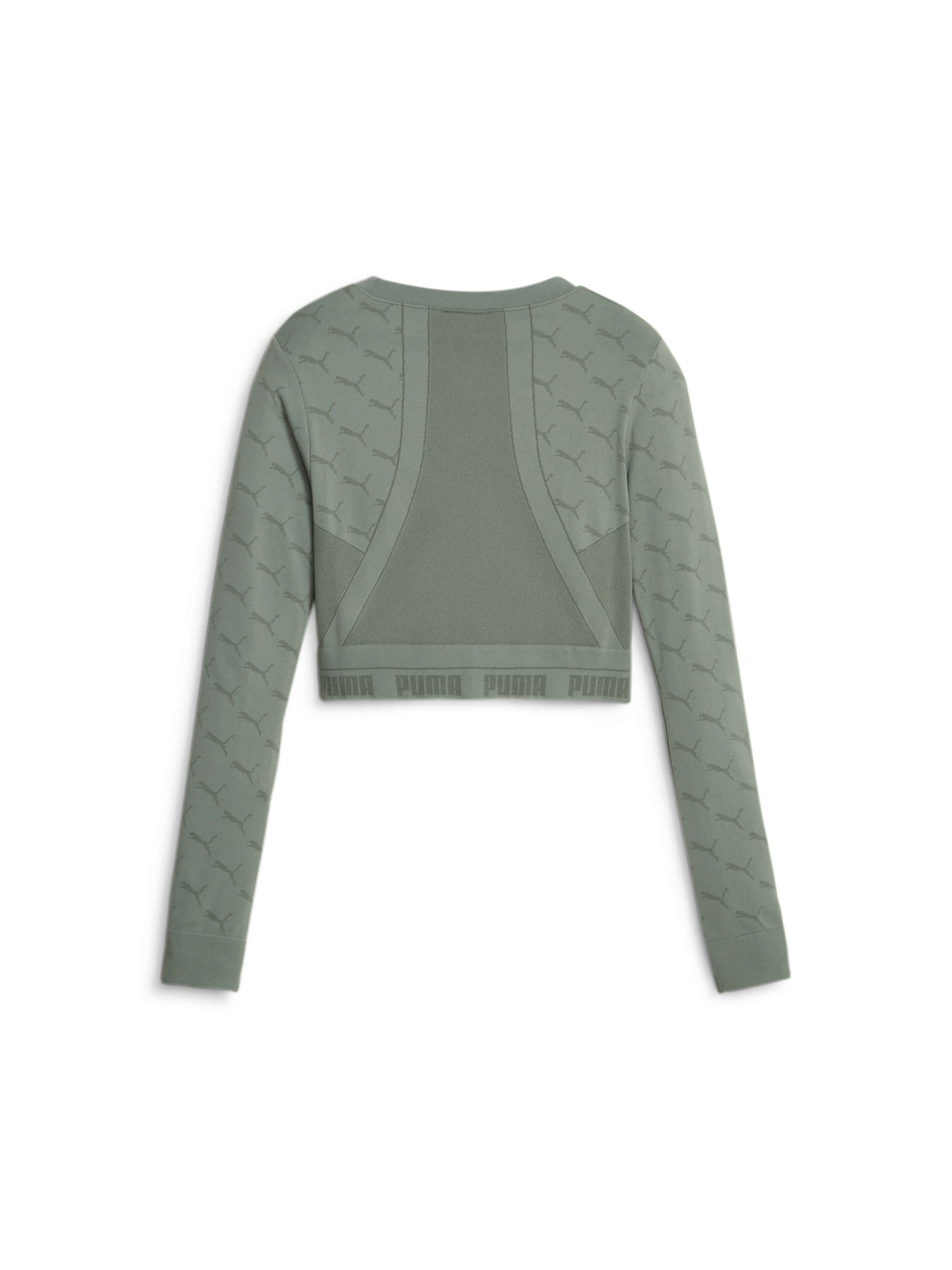 Топ спортивний PUMA Evoknit Longsleeve Tee модель 673092 Фото