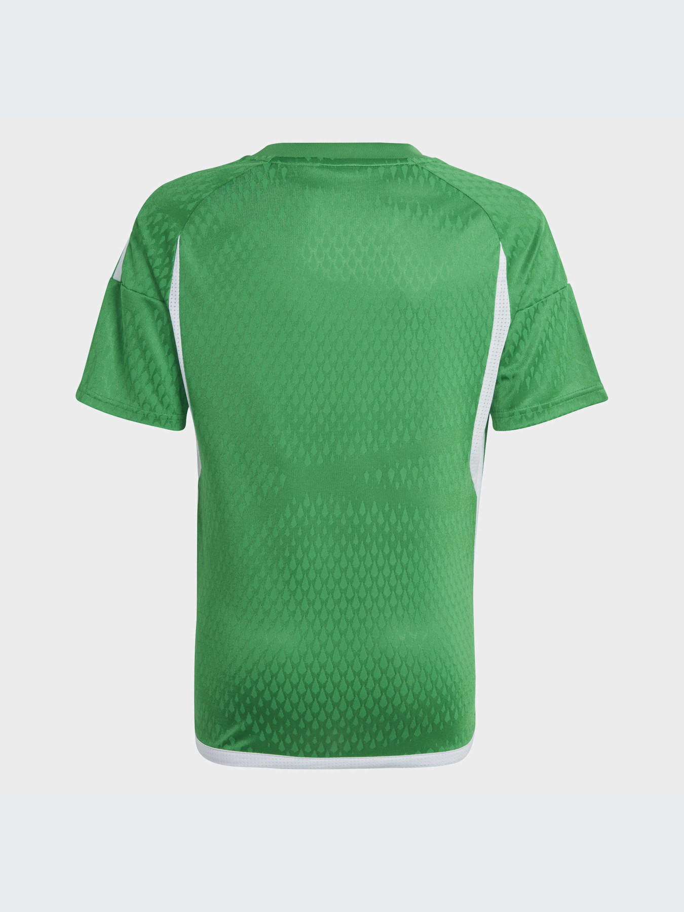 Футболка спортивная Adidas Tiro модель IC7473 Фото