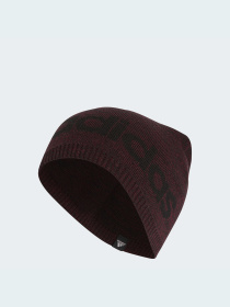 Шапка Adidas модель II3538 Фото