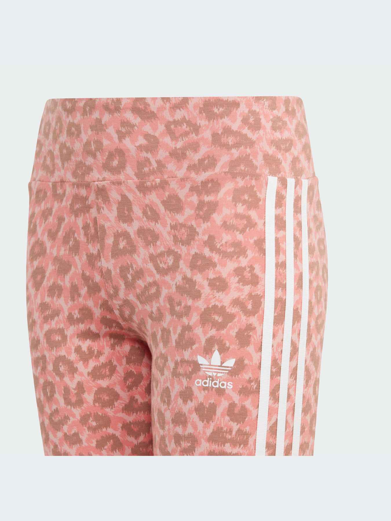 Легінси Adidas модель IJ0757 Фото