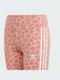 Легінси Adidas модель IJ0757 Фото