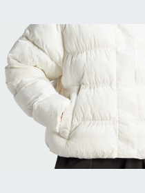 Демисезонная куртка Adidas модель IJ8236 Фото