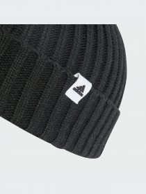 Шапка Adidas модель IB2656 Фото