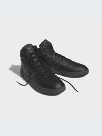 Кроссовки Adidas Hoops модель GW6421 Фото