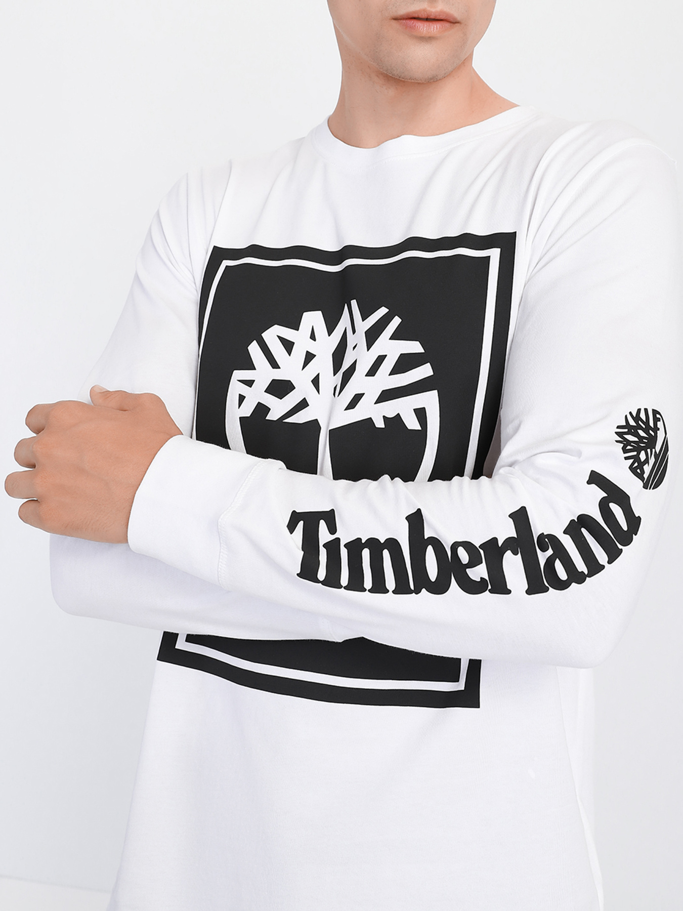 Худи и свитшоты Timberland модель TB0A2CMKP54 Фото