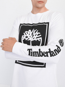 Худи и свитшоты Timberland модель TB0A2CMKP54 Фото