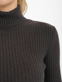 Водолазка Sewel модель GL918240000 Фото