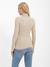 Водолазка Sewel модель GL918760000 Фото