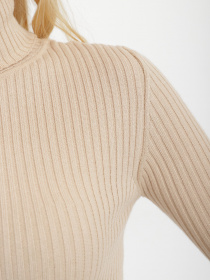 Водолазка Sewel модель GL918760000 Фото