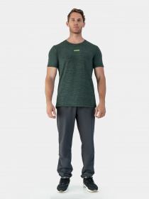 Футболка AVECS модель 30460-25 Фото