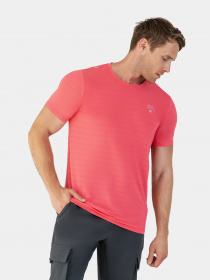 Футболка AVECS модель 30463-22 Фото