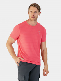 Футболка AVECS модель 30463-22 Фото