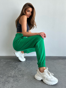 Спортивні штани ISSA Plus модель 13694_green Спортивні штани ISSA Plus модель 13694_green Фото