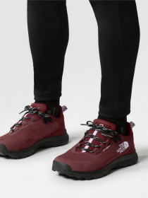 Кроссовки The North Face модель NF0A5LXE86H1 Фото