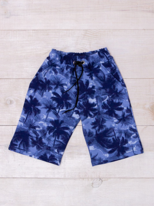 Повседневные шорты Носи своє модель 6208-055-palxmi-sinj Фото