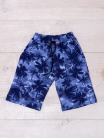 Повседневные шорты Носи своє модель 6208-055-palxmi-sinj Повседневные шорты Носи своє модель 6208-055-palxmi-sinj Фото