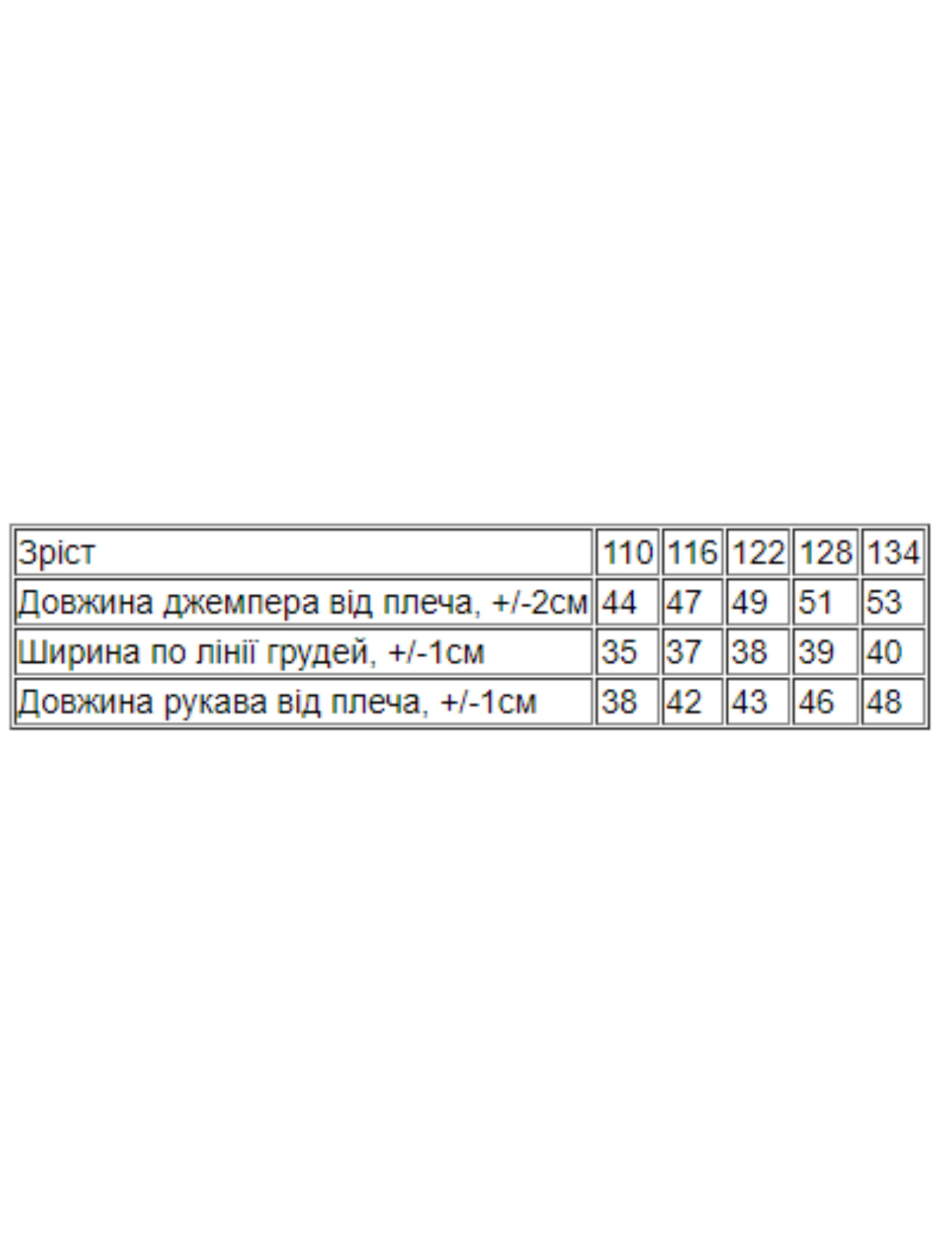 Свитшот Носи своє модель 6069-024-5-zrochki Фото