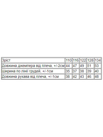 Свитшот Носи своє модель 6069-024-5-zrochki Свитшот Носи своє модель 6069-024-5-zrochki Фото