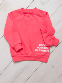 Свитшот Носи своє модель 6069-023-33-5-koral Фото