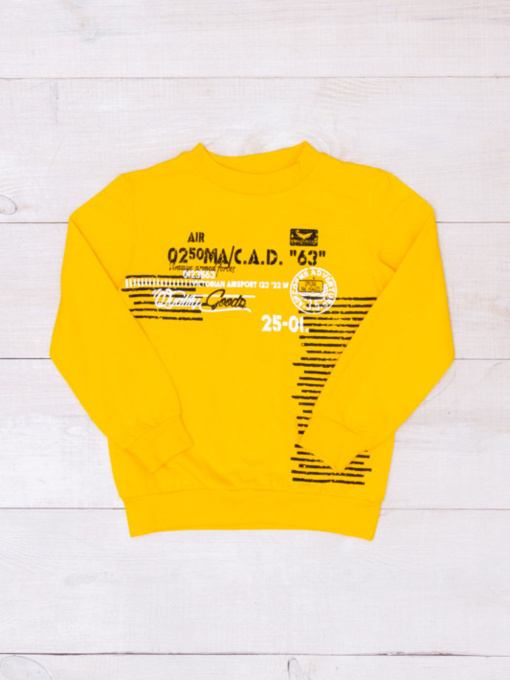 Свитшот Носи своє модель 6069-023-33-4-burshtin Фото