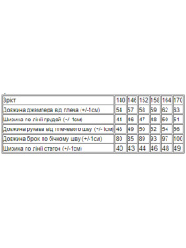 Повсякденний костюм Носи своє модель 6306-057-33-temno-blakitnij Фото