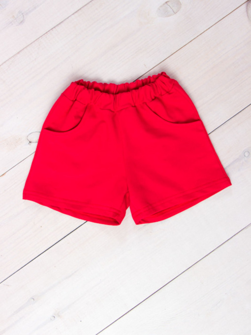 Шорты Носи своє модель 6033-057-1-polunicq Фото