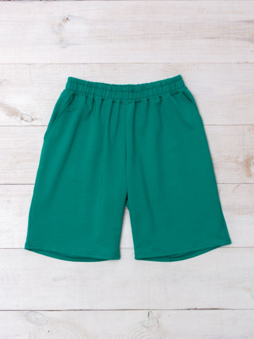 Повседневные шорты Носи своє модель 8341-057-bryuzova-perlina Фото