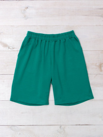 Повсякденні шорти Носи своє модель 8341-057-bryuzova-perlina Повсякденні шорти Носи своє модель 8341-057-bryuzova-perlina Фото