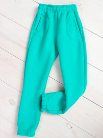 Джоггеры Носи своє модель 6060-025-mentol Фото