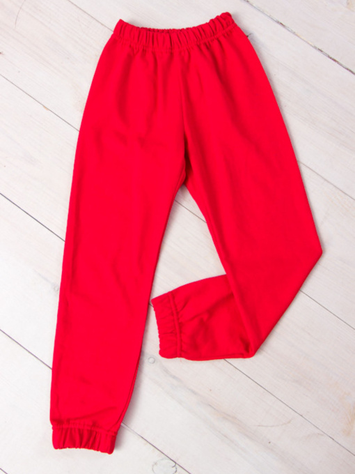 Джоггеры Носи своє модель 6155-023-5-chervonij Фото