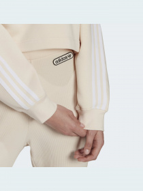 Худи Adidas Adicolor модель HC2018 Фото