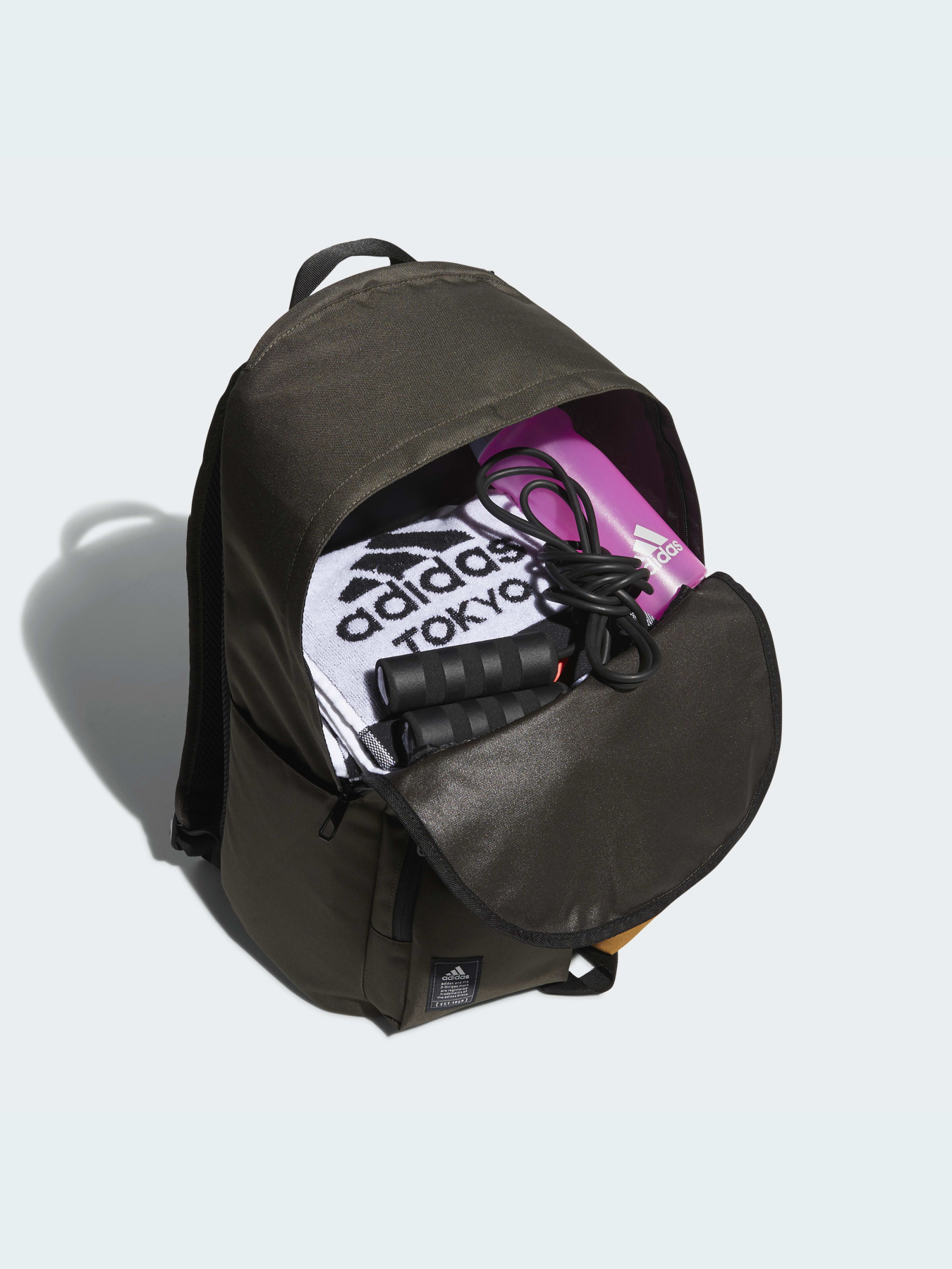 Повсякденний рюкзак Adidas модель HE2687 Повсякденний рюкзак Adidas модель HE2687 Фото