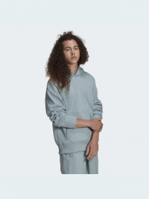 Худи Adidas Adicolor модель HC4522 Фото