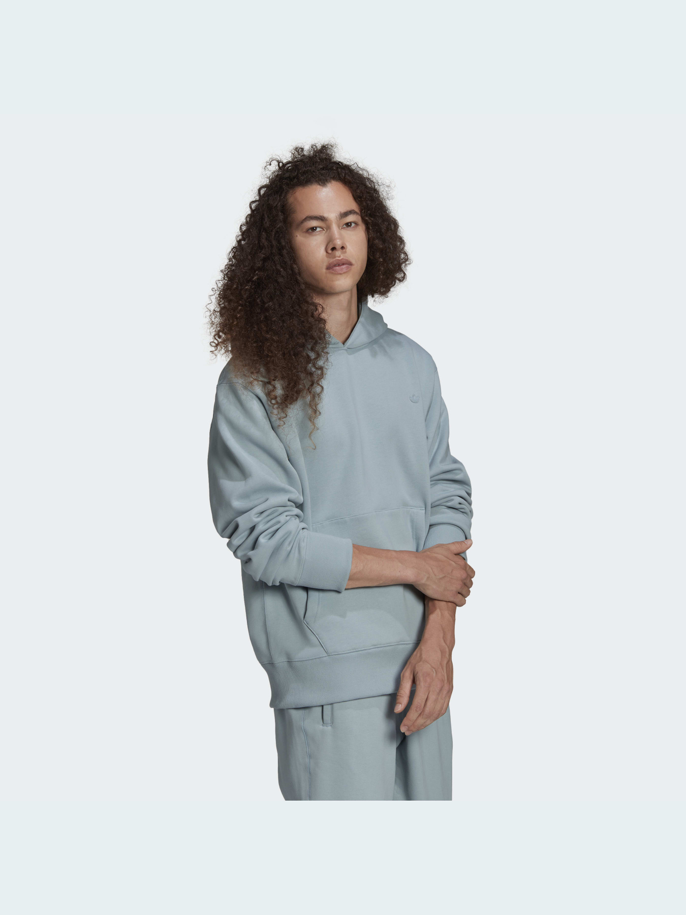 Худі Adidas Adicolor модель HC4522 Фото