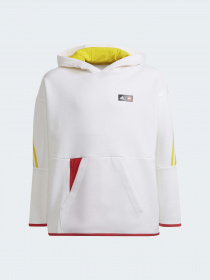 Спортивная кофта Adidas модель H65334 Фото