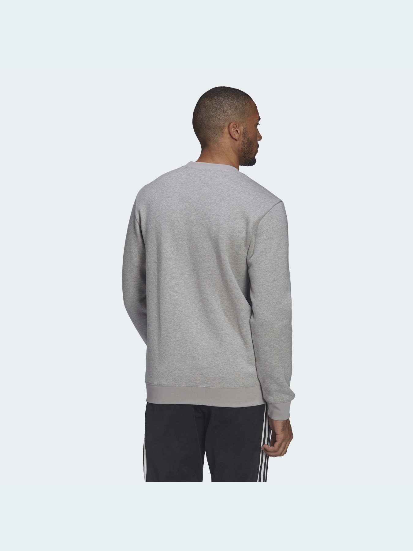 Свитшот Adidas Graphics модель HF4912 Фото