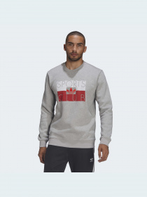 Свитшот Adidas Graphics модель HF4912 Фото